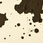 schwarze Stockflecken