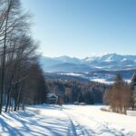 Deutsche Winterreise