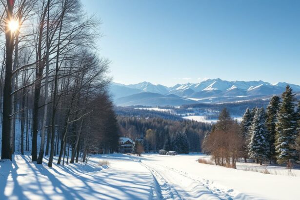 Deutsche Winterreise