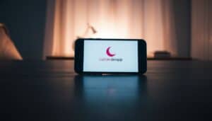 Dating-Seite bietet muslimische Jungfrauen als Zweitfrau an und das in Europa