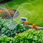 Effiziente Gartenbewässerung