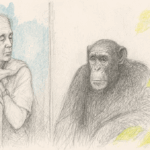 Primatenforscherin Jane Goodall gestorben