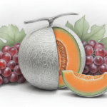 Teuerste Frucht der Welt