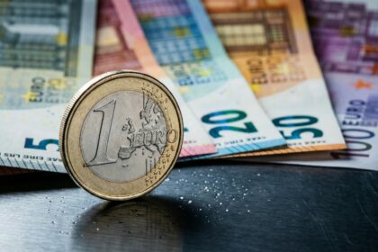 Dschungelcamp Highlights