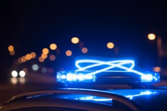 mirja du mont dschungelcamp