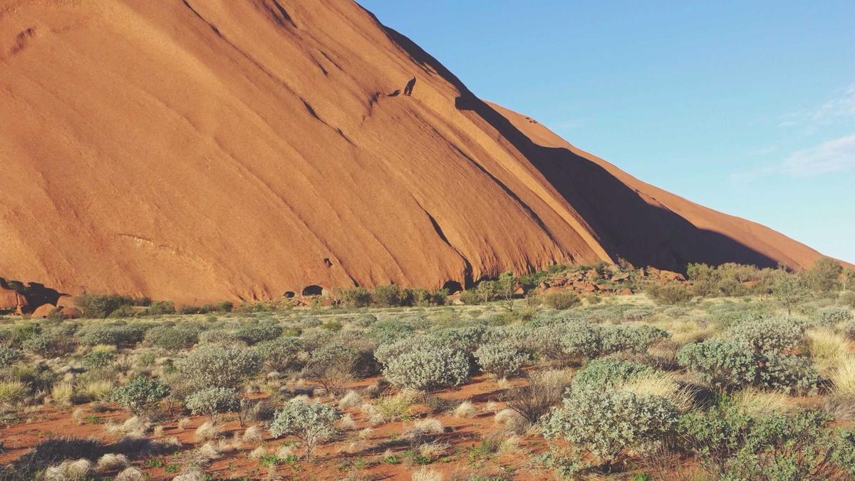 Dschungelcamp Unwetter