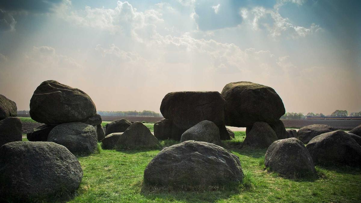 Mini Dinosaurier Mini Dinosaurier