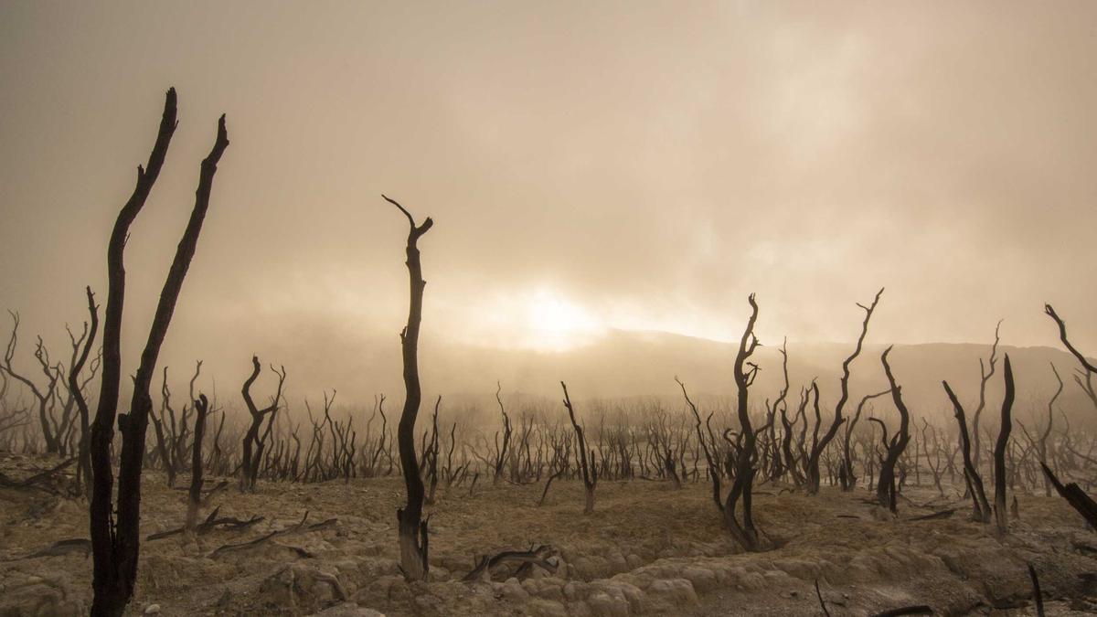 Alena Gerber Kinderwunsch