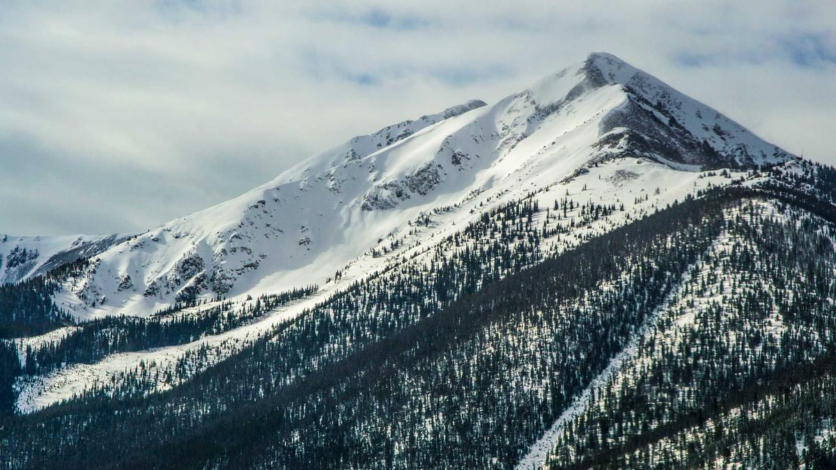 Symbolbild zum Thema Atalanta – Dortmund