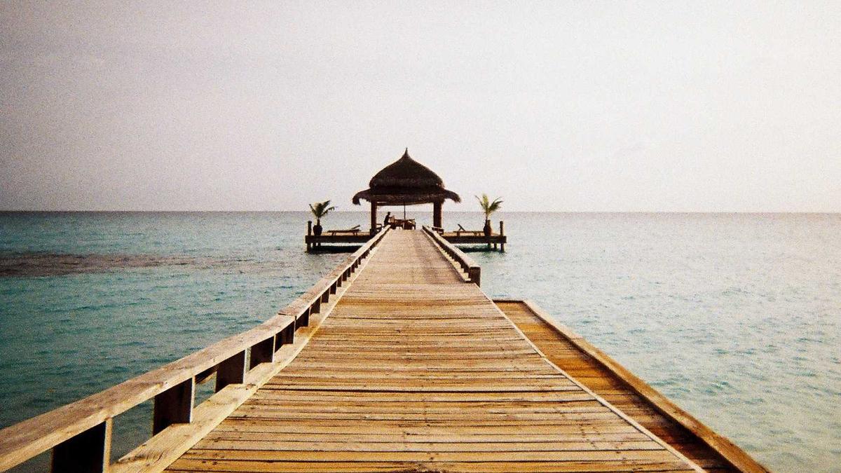 BBC Illustration zu BBC