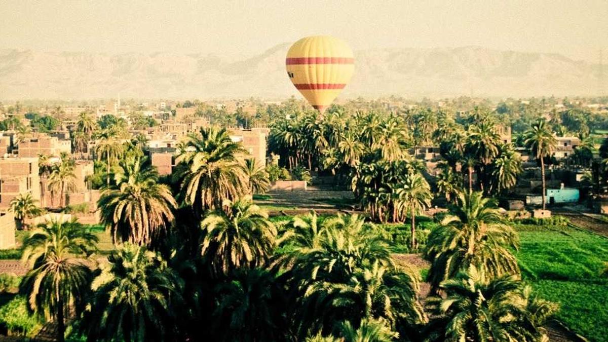 Symbolbild zum Thema Bella Ramsey Neuer Film