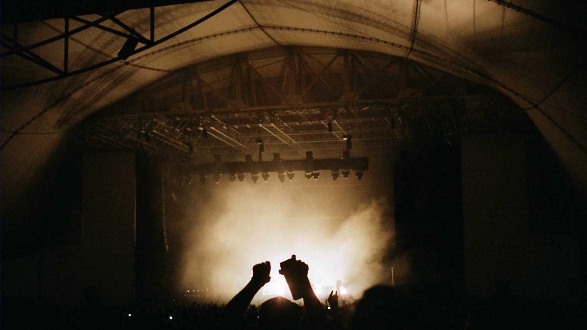 Illustration zu Bijou Phillips Niere