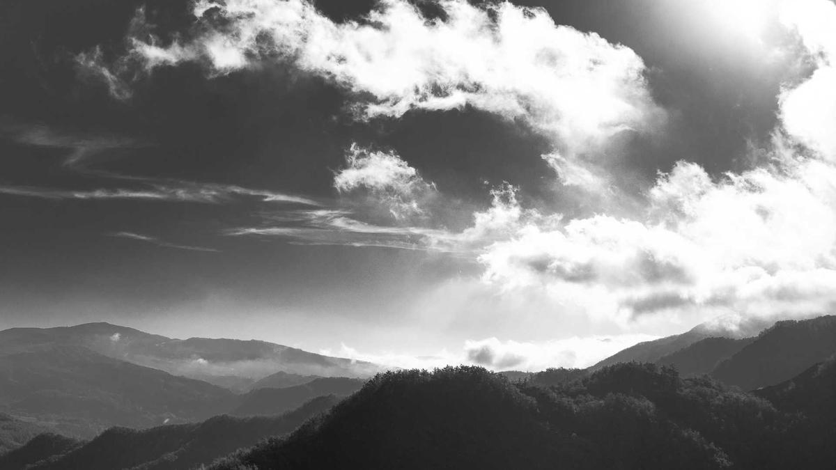 Billy Steinberg Tot Detailansicht: Billy Steinberg Tot