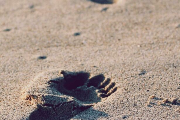 Detailansicht: Chiara Pisati Baby