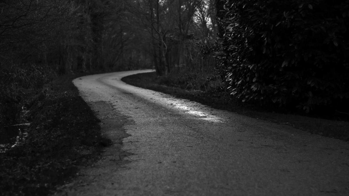 Illustration zu Daniel Kaluuya Neuer Film