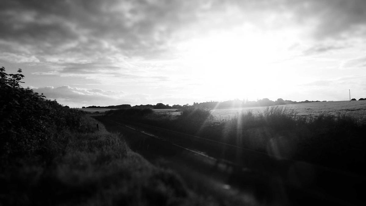 Illustration zu David Zobel