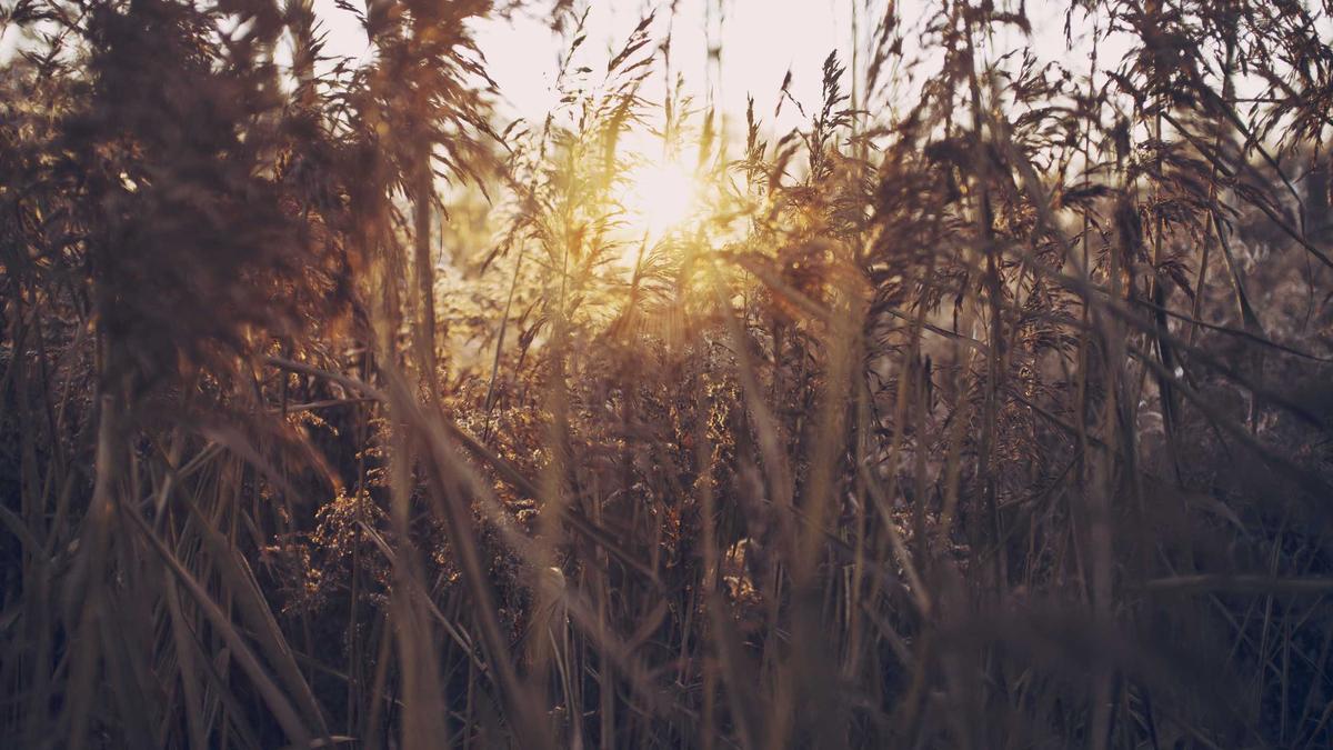 Eröffnung Olympiade 2026