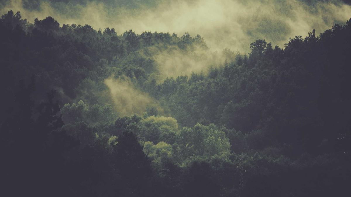 Illustration zu Felix Zu Knyphausen