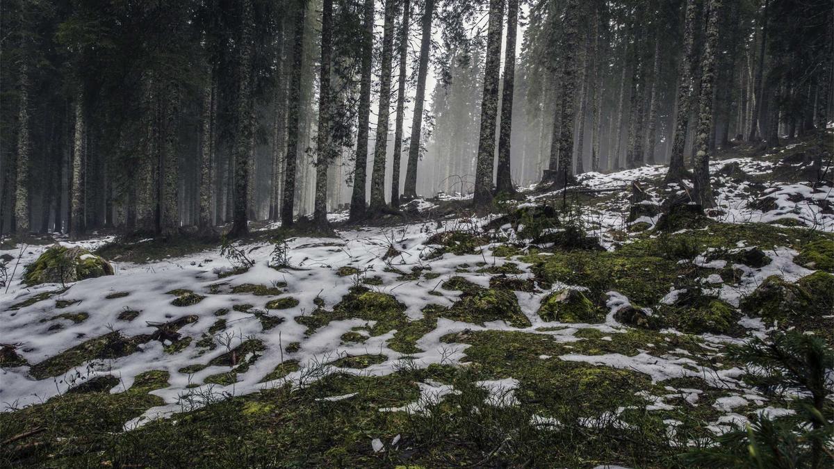 Detailansicht: Film Twist Ende