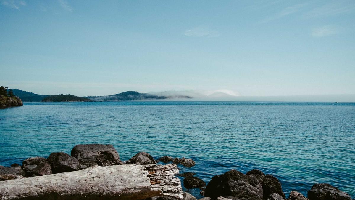 Detailansicht: Fitness Influencer Brüste