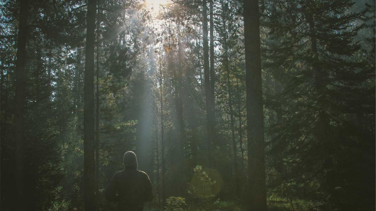 Game Of Thrones Ende Symbolbild zum Thema Game Of Thrones Ende