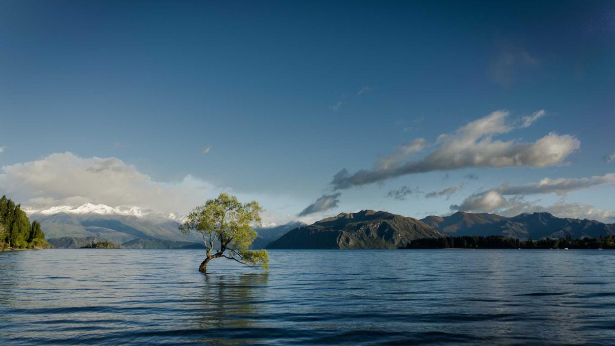 Günther Jauch Verwechslung Illustration zu Günther Jauch Verwechslung