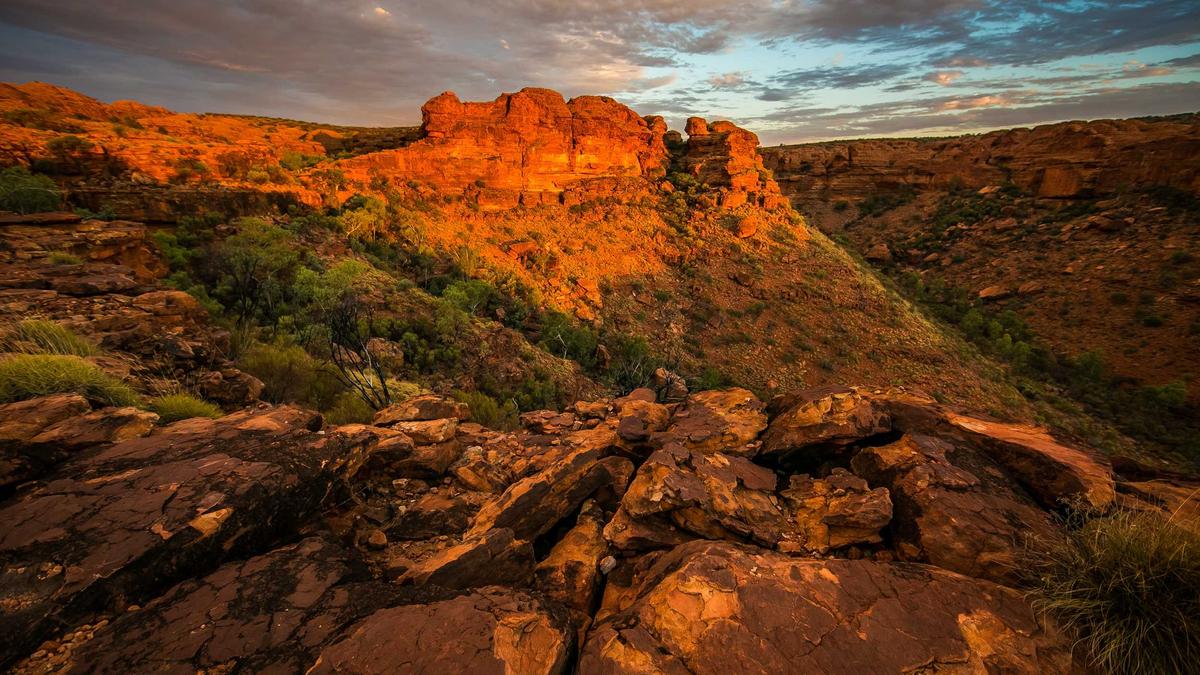 Detailansicht: Hochhausbrand Berlin