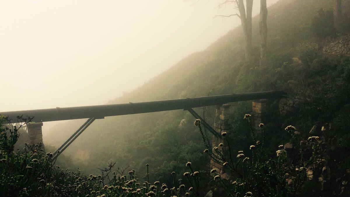 Detailansicht: Horrorfilm Alptraum Kinder