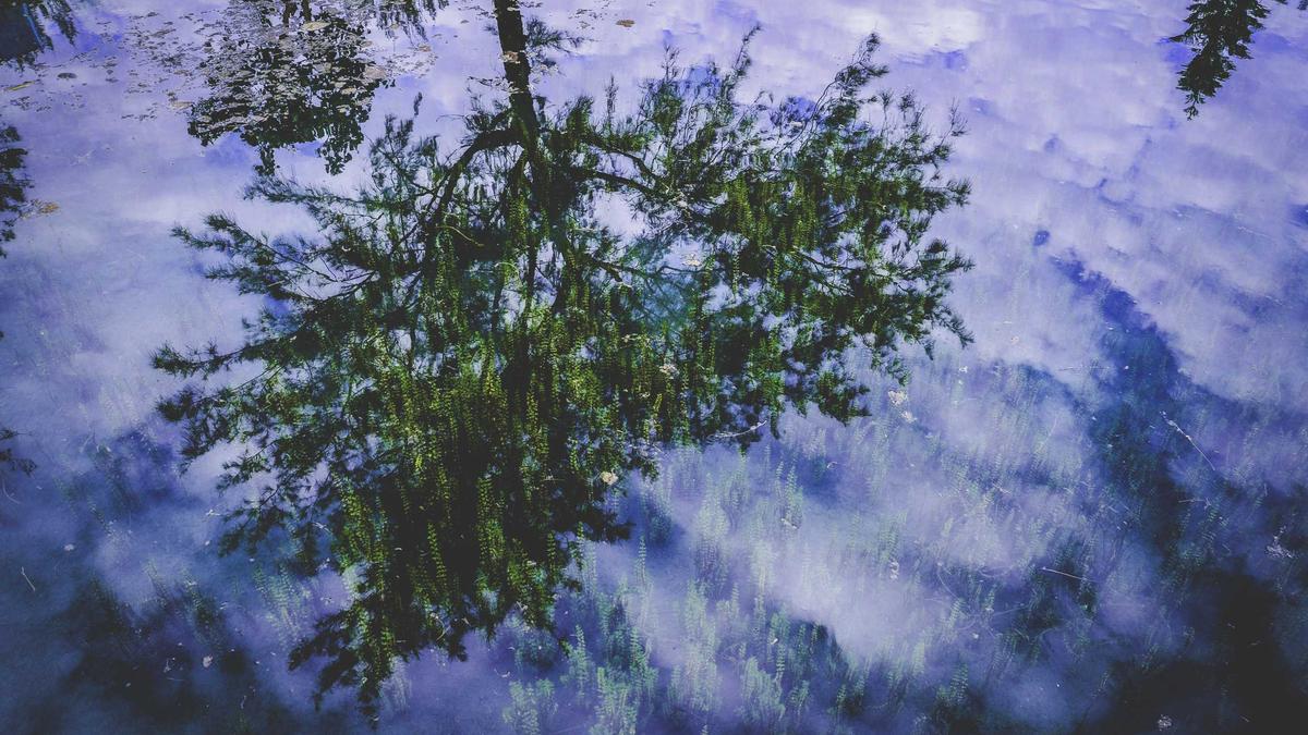 Illustration zu Iftar 2026