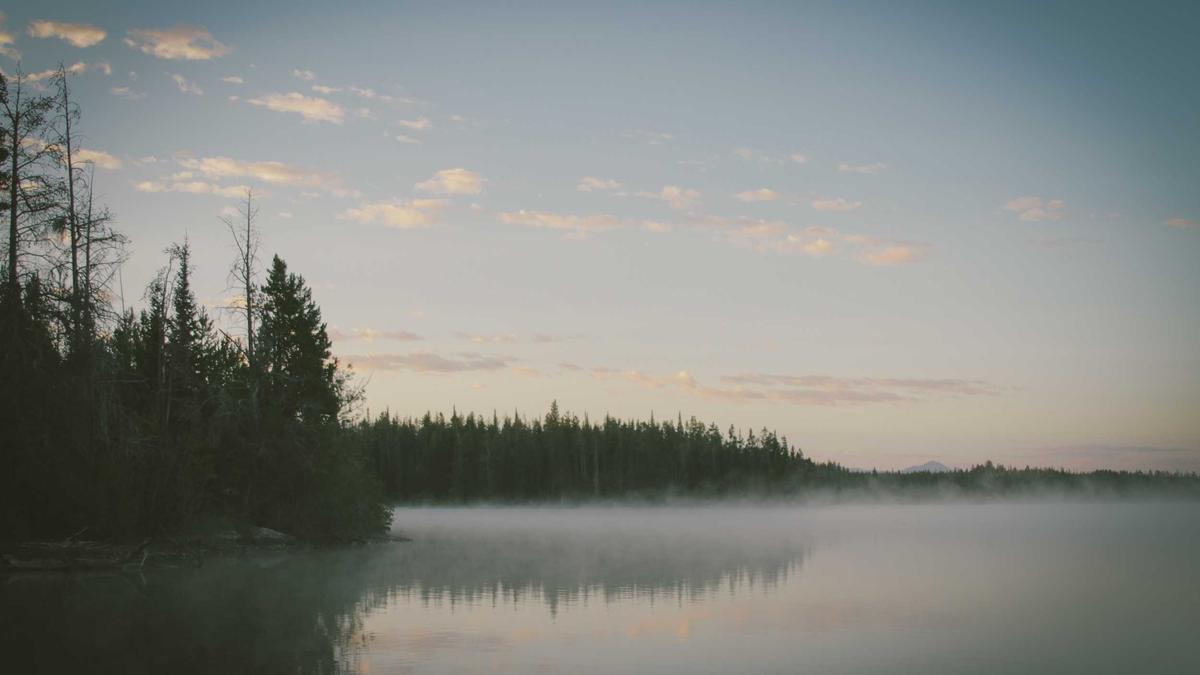 Illustration zu Jeffrey Epstein Mord