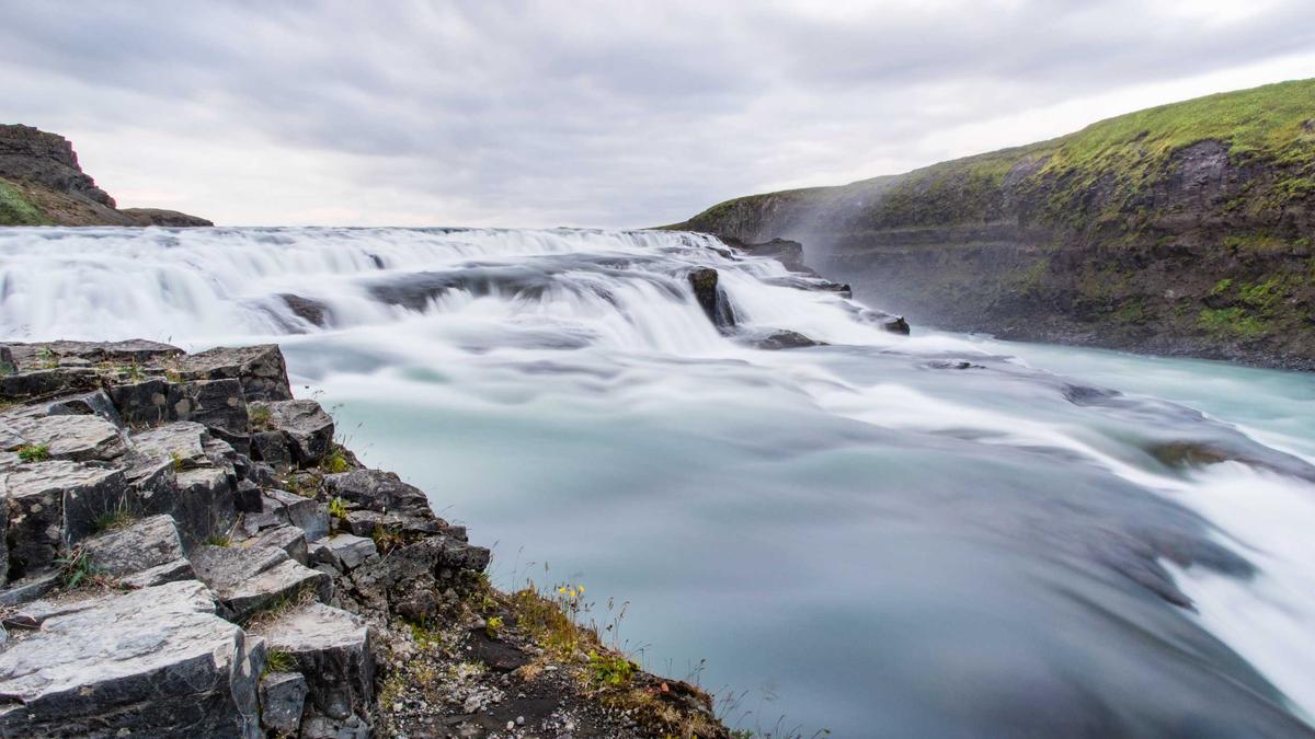 Jole Galli Detailansicht: Jole Galli