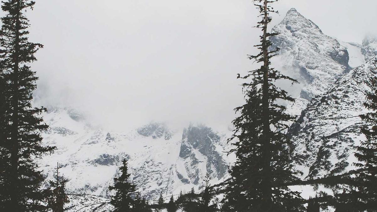 Detailansicht: Klimaticket