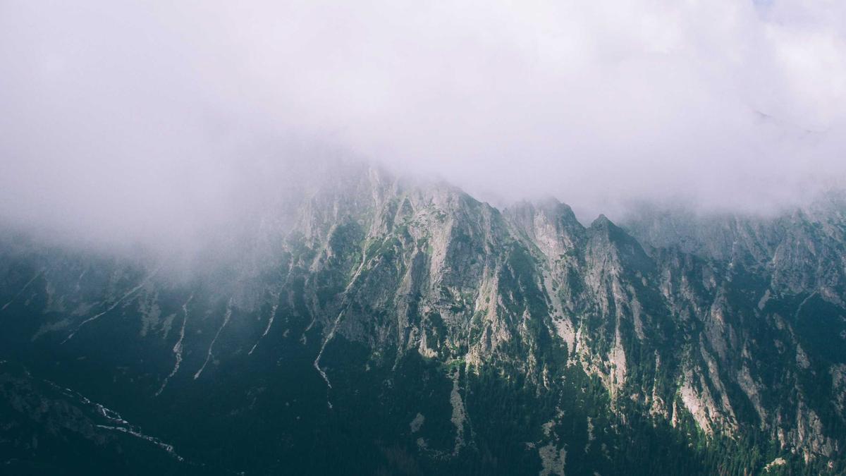 Lets Dance 2024 Illustration zu Lets Dance 2024