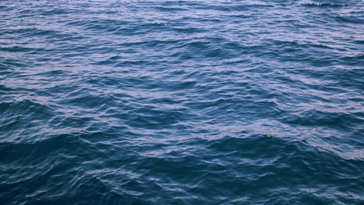 Illustration zu Michelle Daniaux