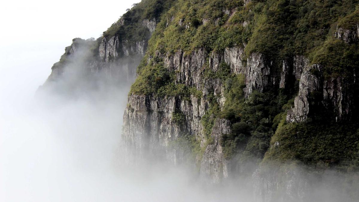 Detailansicht: Neil Young Tour Abgesagt