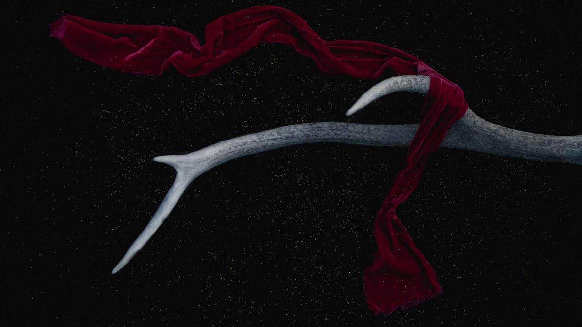 Netflix Top 10 Symbolbild zum Thema Netflix Top 10