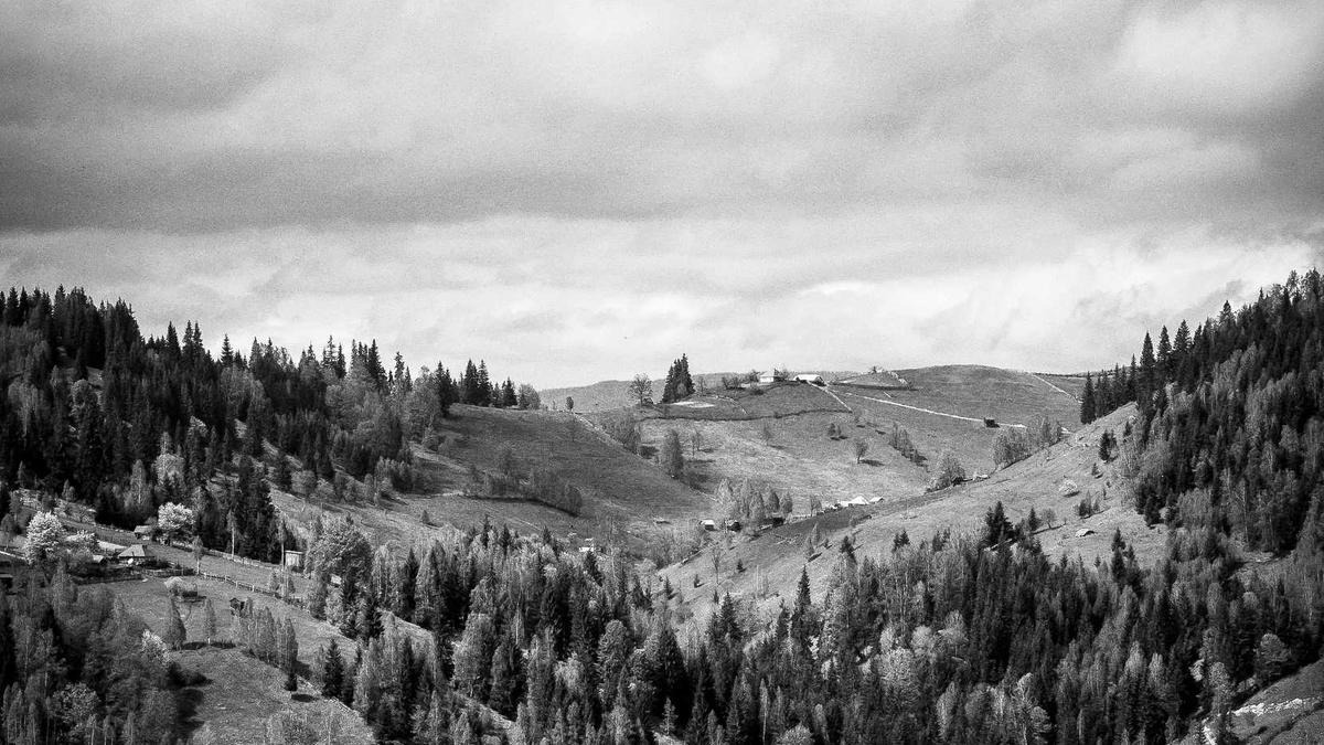 Olympische Winterspiele Medaillen Detailansicht: Olympische Winterspiele Medaillen