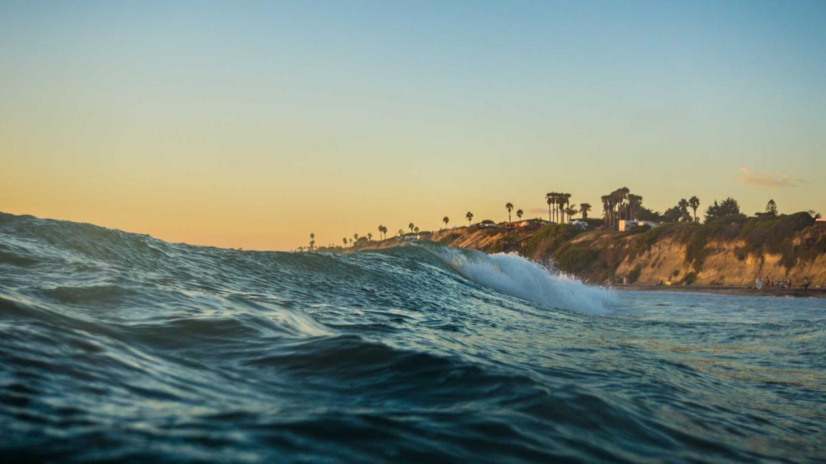 Detailansicht: Opernball Panikattacke