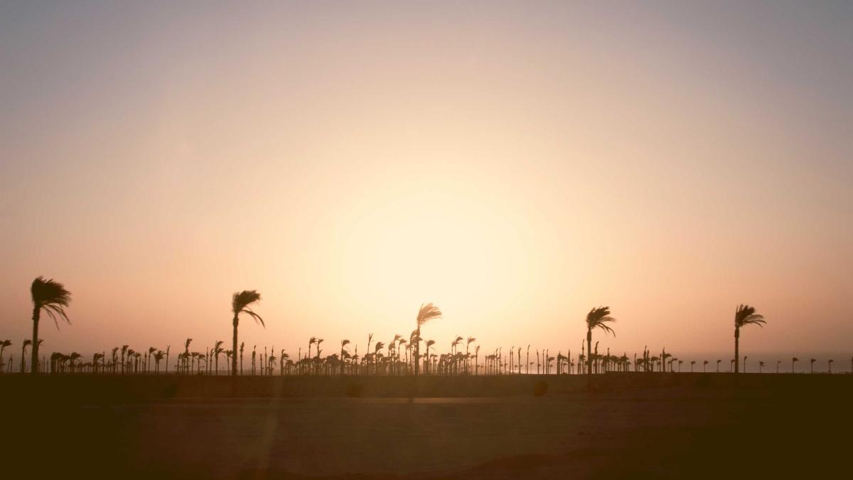 Illustration zu Patricia Kaas