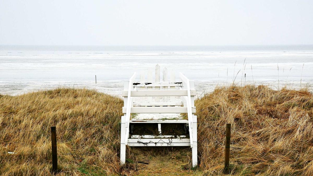 Detailansicht: Prinz Andrew Vorwürfe