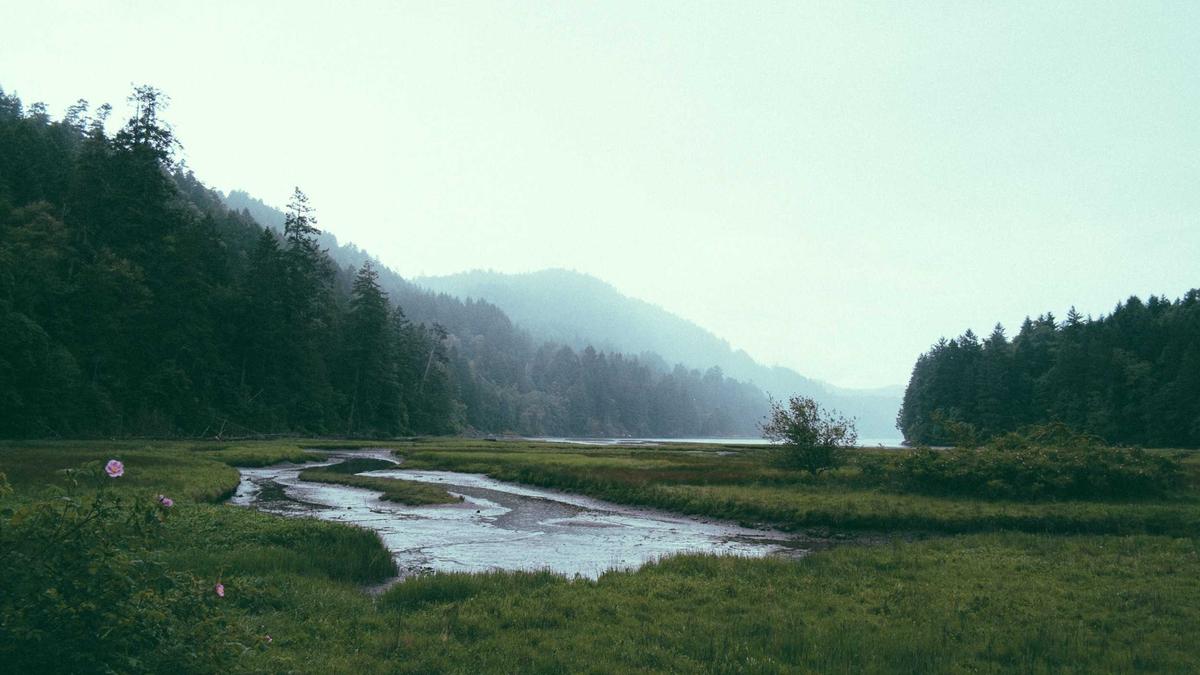 Symbolbild zum Thema Prinz William Saudi Arabien