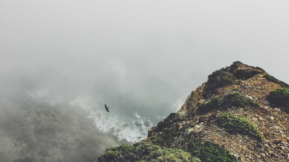 Symbolbild zum Thema Prozess Lügenwelt