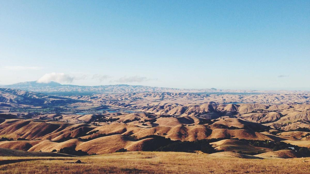 Detailansicht: Ronda Rousey Gina Carano