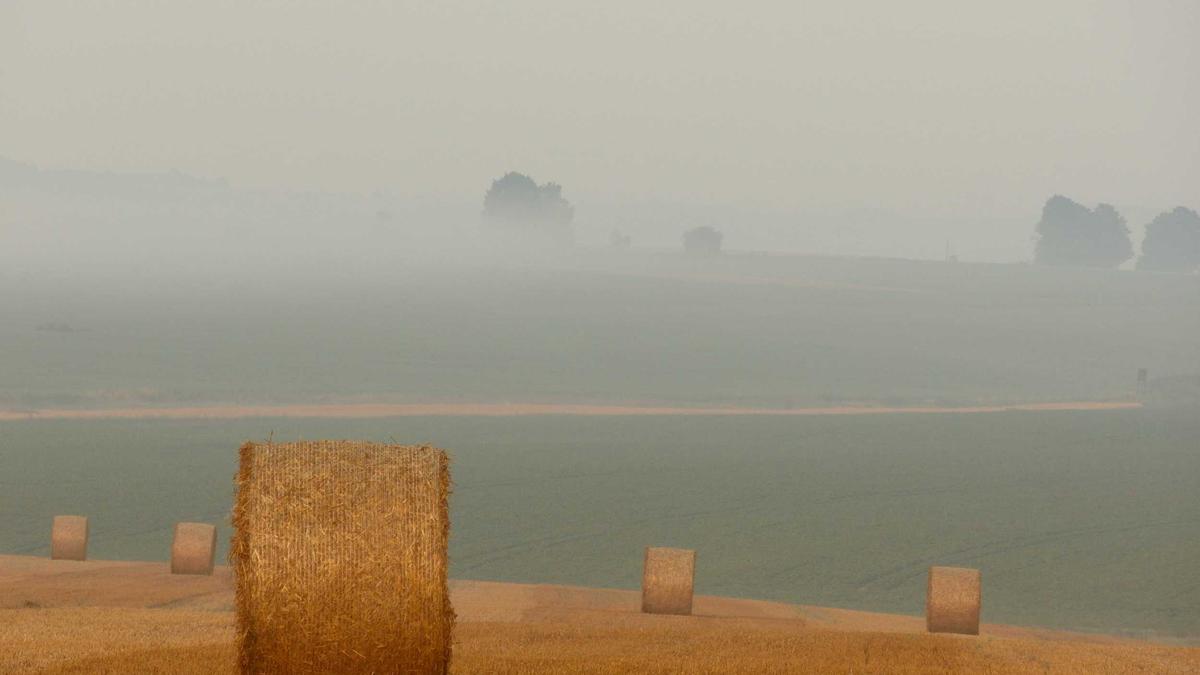 Detailansicht: RTL+ GZSZ Vorschau