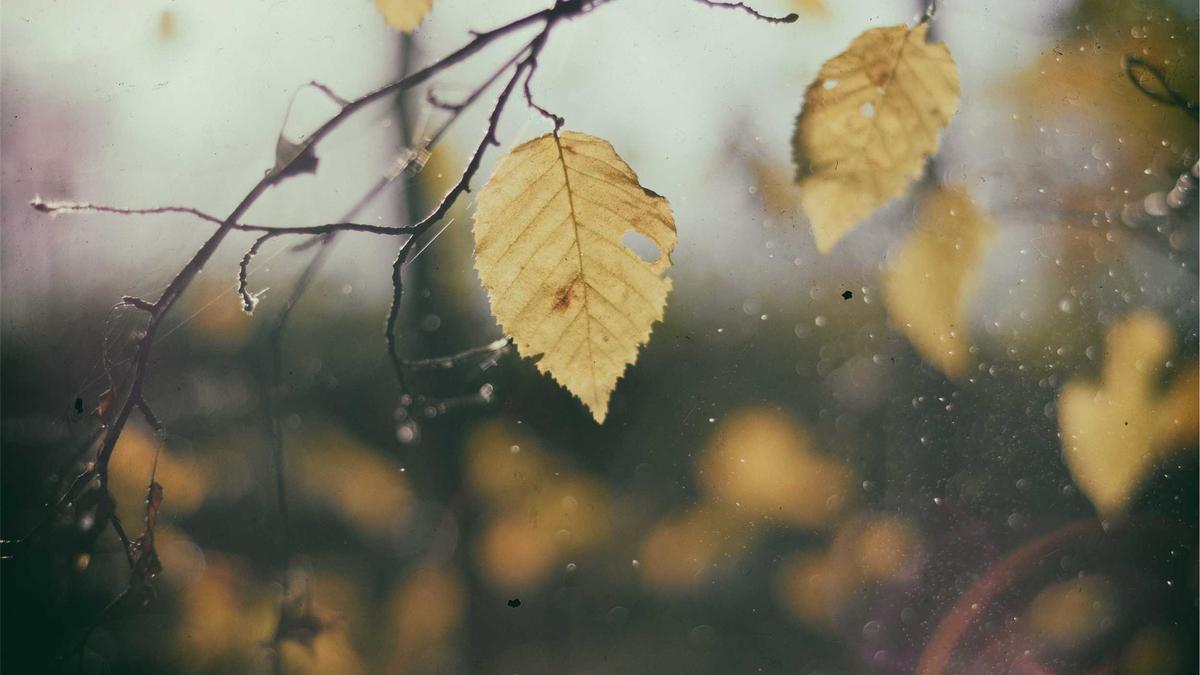 Illustration zu Steven Spielberg Serie Netflix