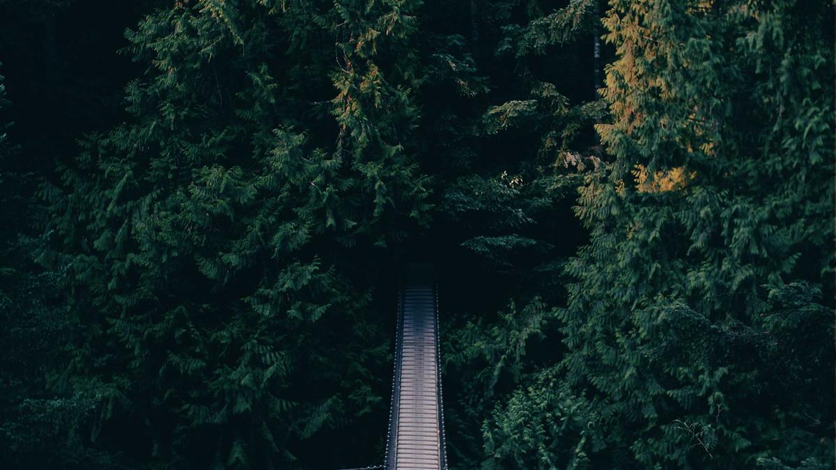 Symbolbild zum Thema Steven Spielberg Spende