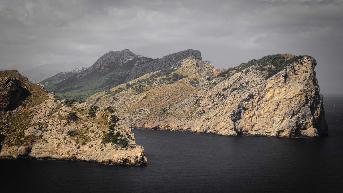 Detailansicht: Sturla Holm Lægreid