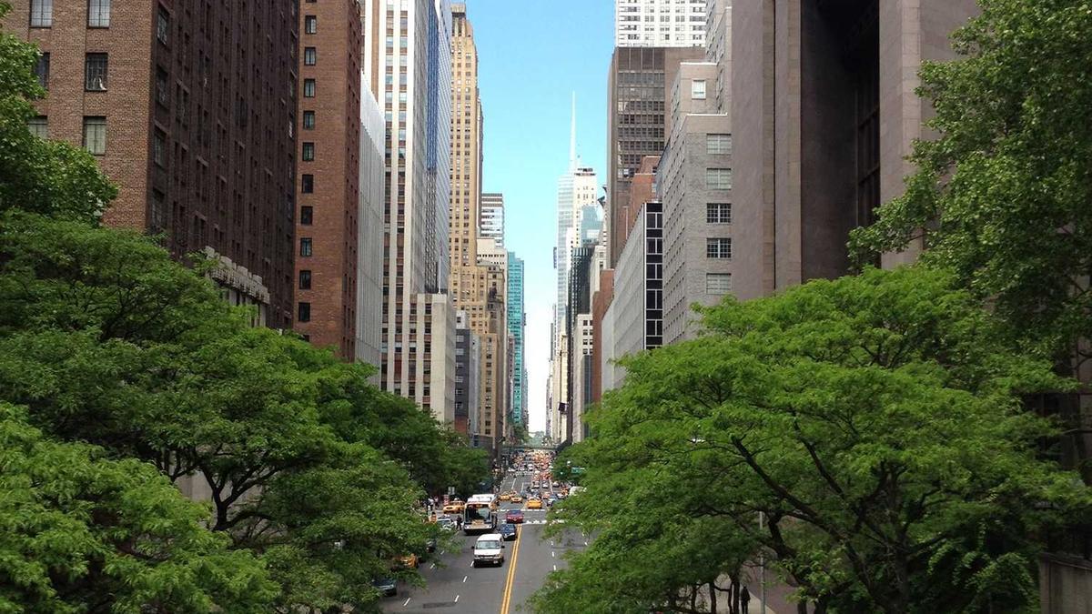 Timo Meier Illustration zu Timo Meier