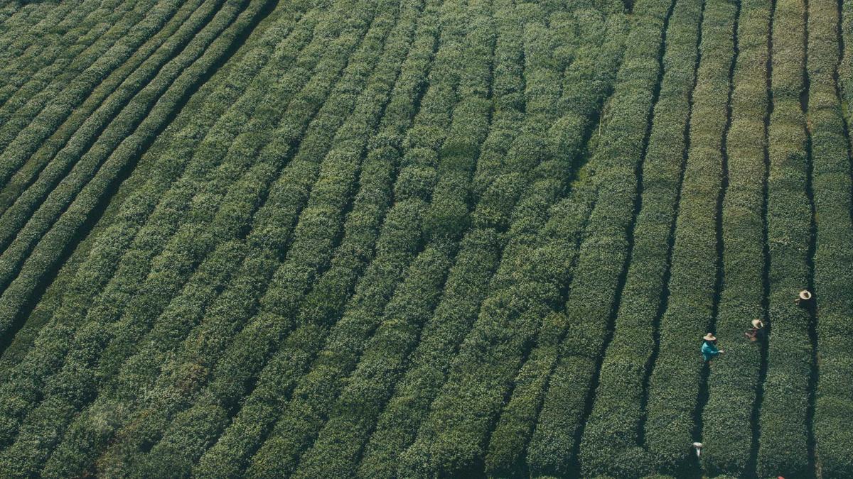 Totschlag Friedland Detailansicht: Totschlag Friedland