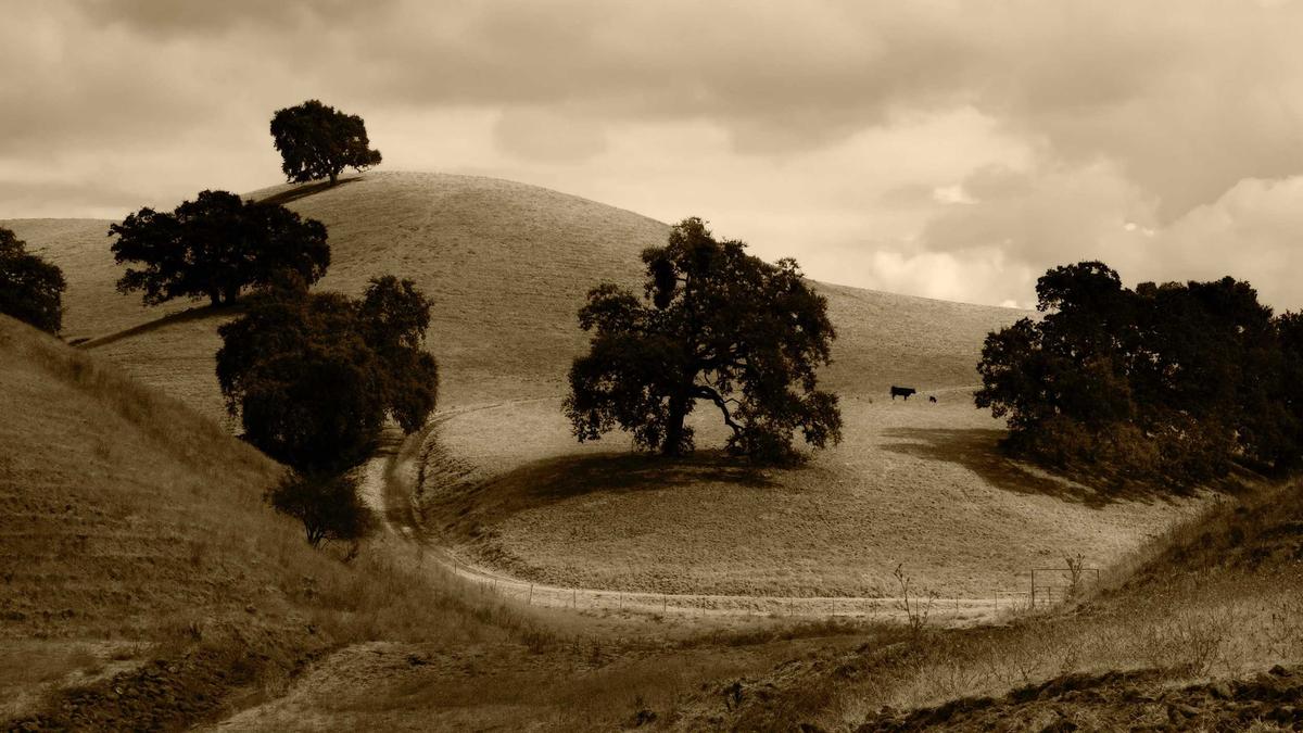 Symbolbild zum Thema TV Tipps Dienstag